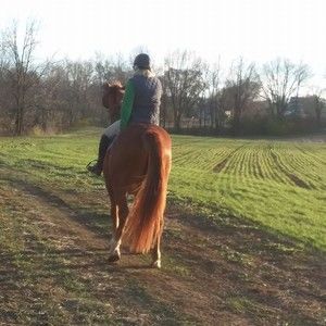 Meet your Posher, Fonda